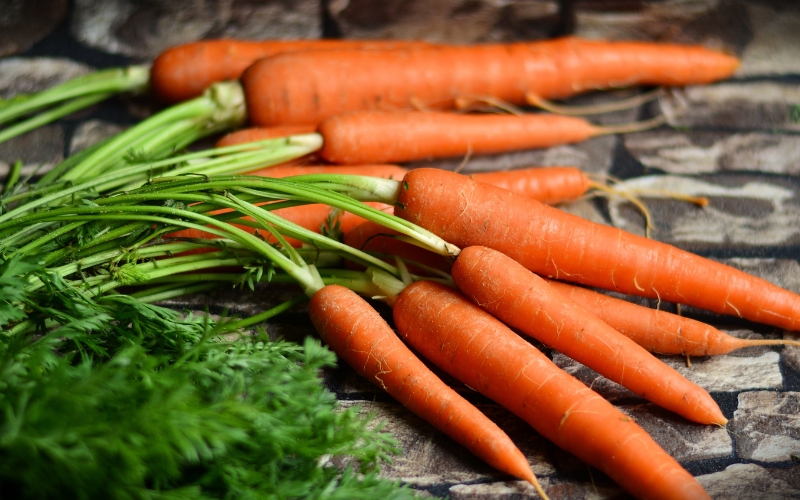 cà rốt là hạt giống rau dễ trồng